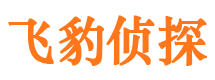 桐柏市私家侦探